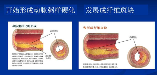 1509707899881067126.jpg 101.jpg