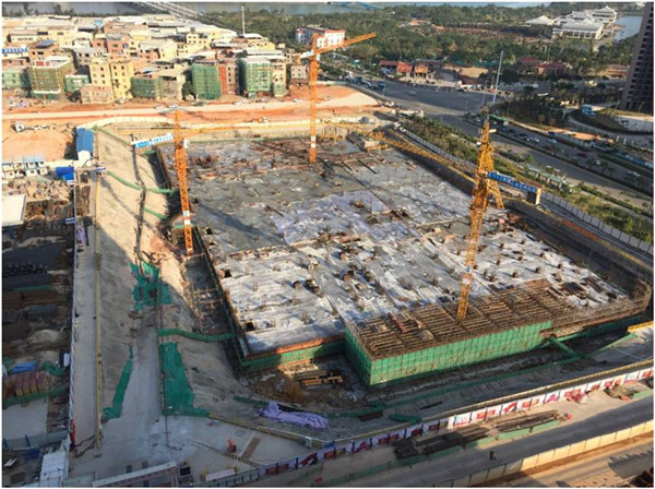 1509708285169089370.jpg 11.jpg